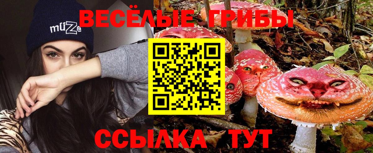 Галлюциногенные грибы Magic Shrooms Тара
