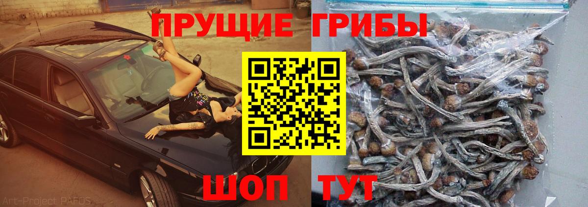 Псилоцибиновые грибы Magic Shrooms  Вход с VPN  Тара 