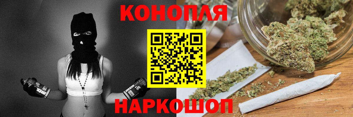 Шишки марихуана конопля  Вход с VPN  Тара  Бошки Шишки THC 21%  Конопля OG Kush  Шишки марихуана тримм 
